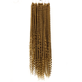 24Inch Boho Box Braids Crochet Hair with Curly Hair